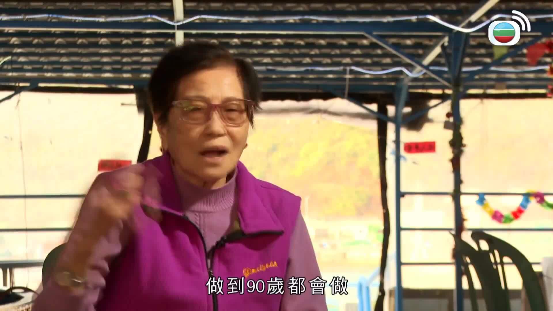 星期日檔案-Sunday Report