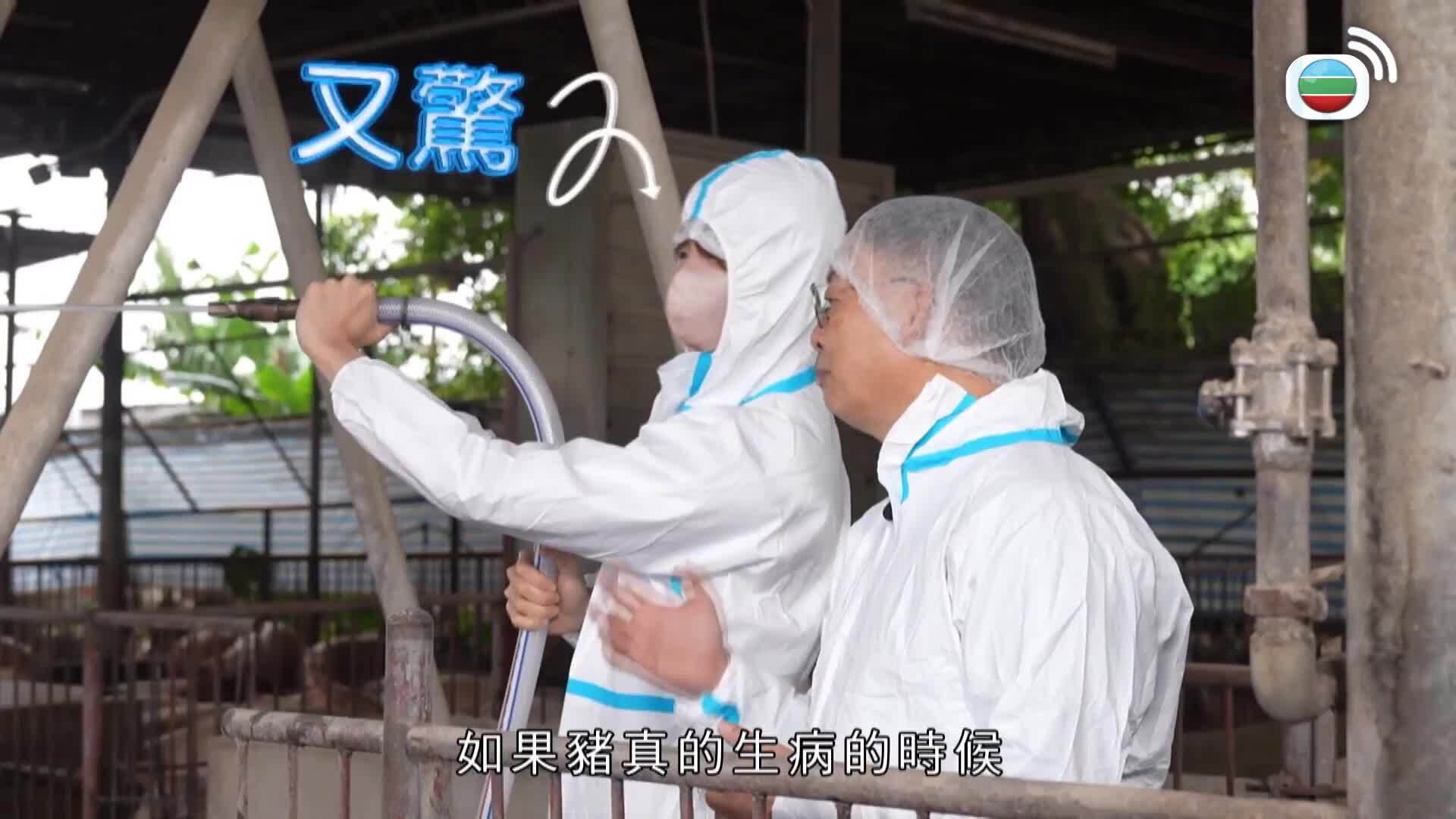 香港系列之原味道-Hong Kong A Feast Of Local Flavours