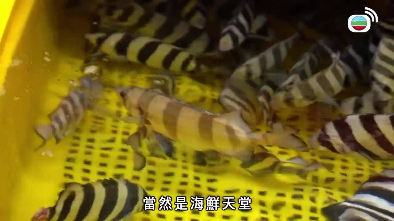 第01集