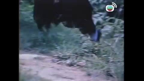 Tập 46