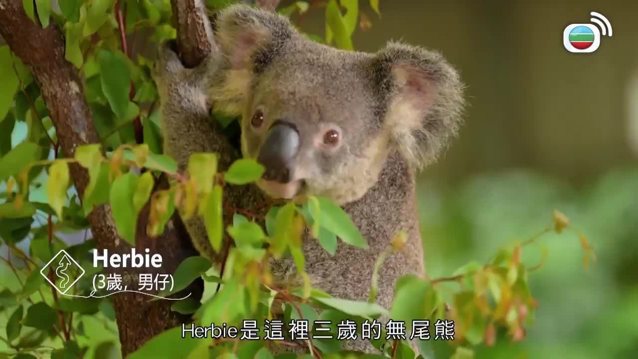 Tập 6