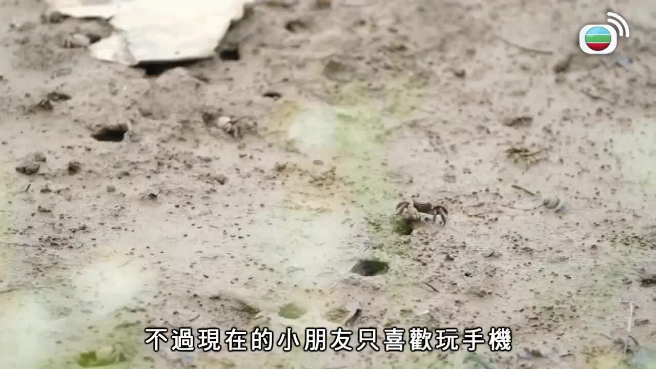 大灣區 活好D-Big Big Bay Sr.2