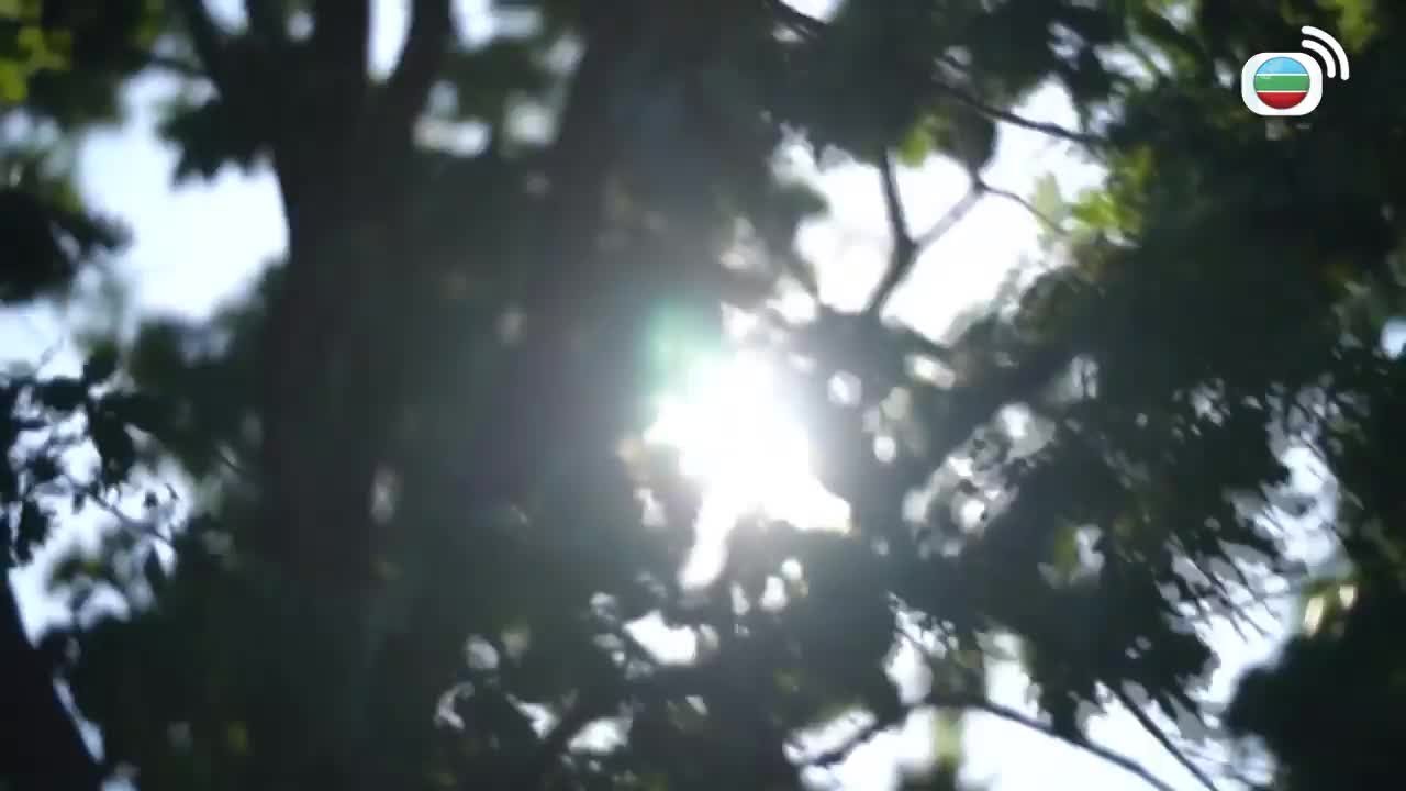 第06集