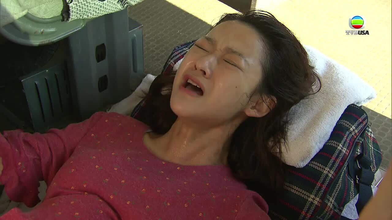 Wudang Rules-潮拜武當