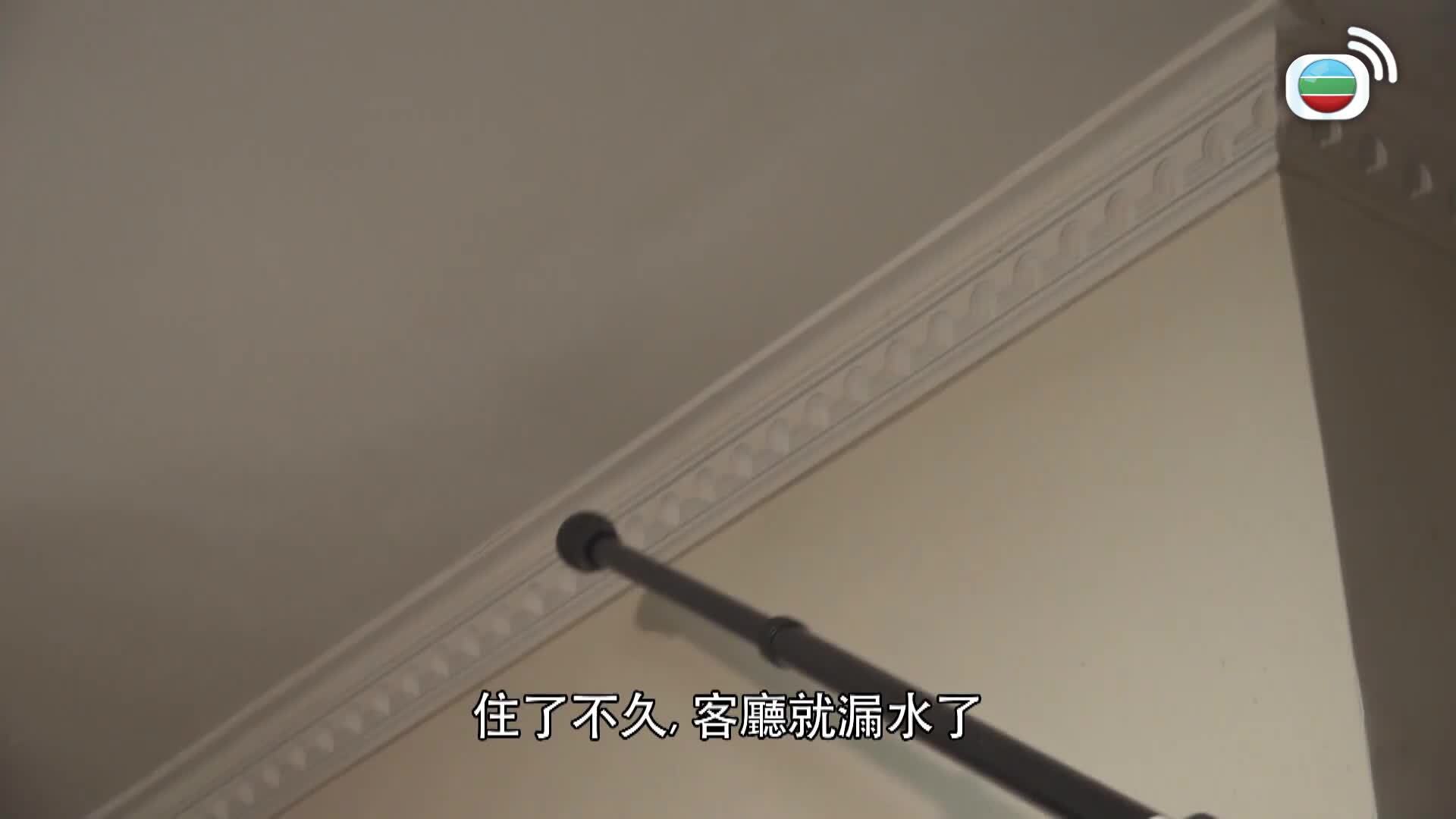 東張西望-Scoop