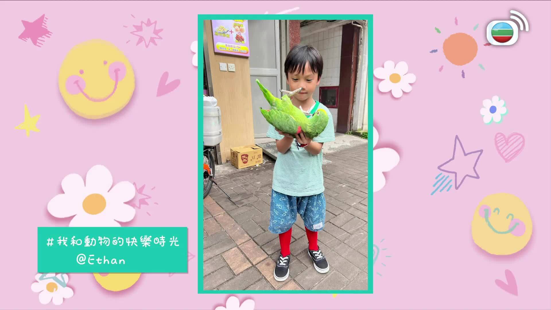 我瞞結婚了-Married But Available