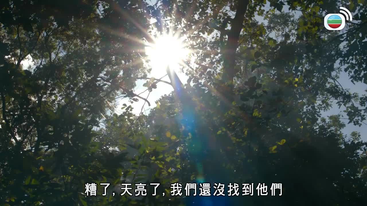 Tập 17