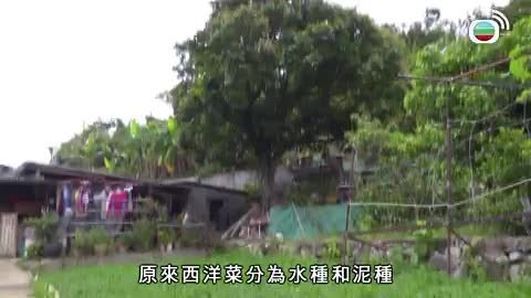 Tập 10