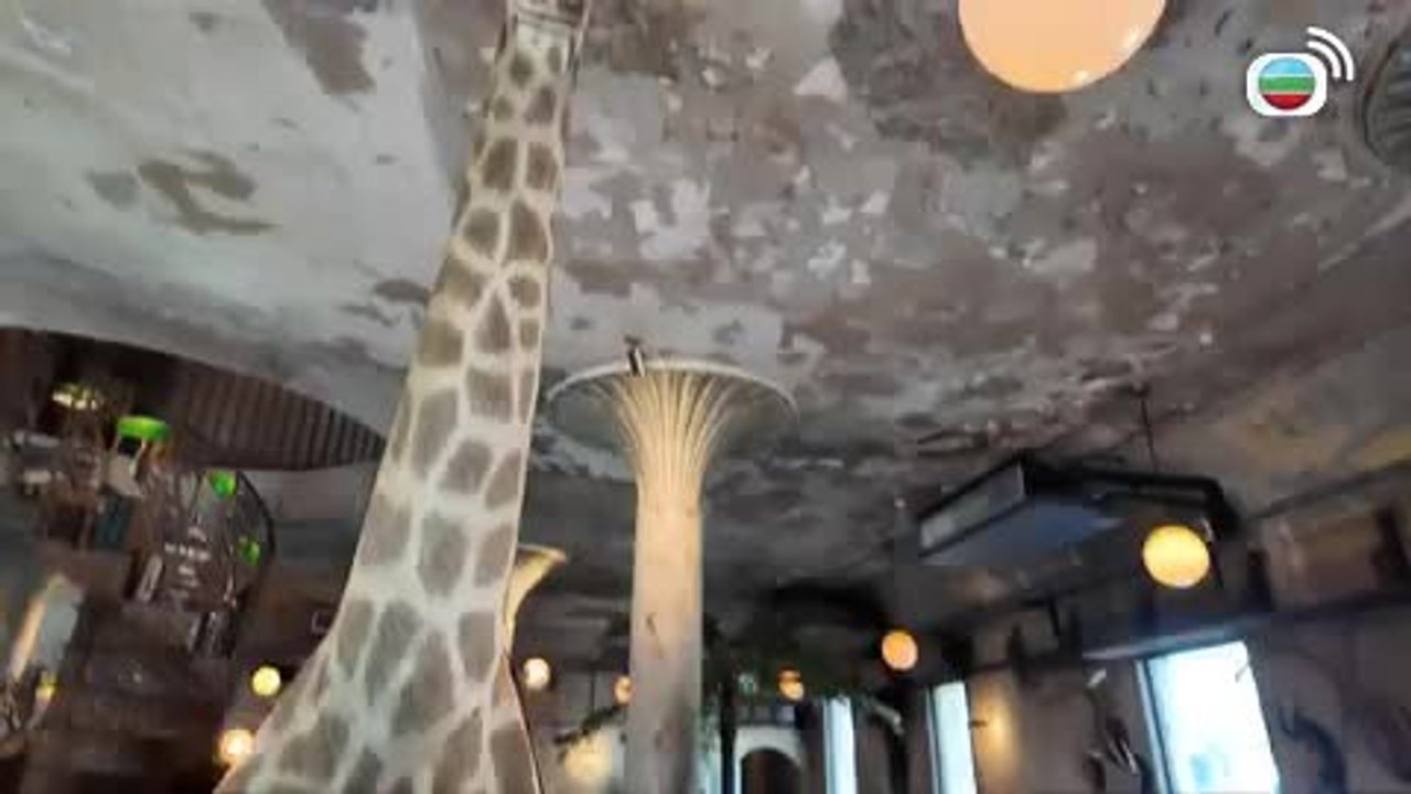 第08集
