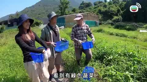 Tập 11
