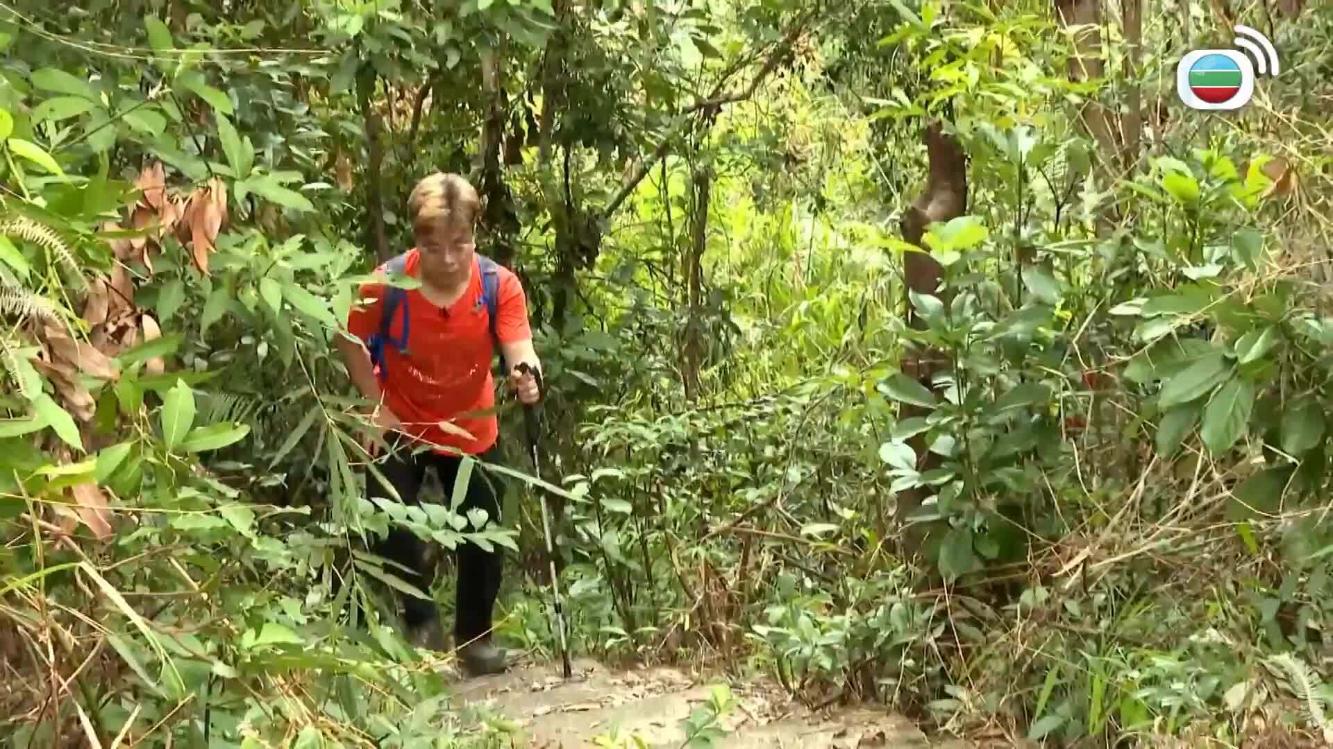 星期日檔案-Sunday Report