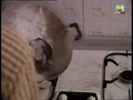 tập 24