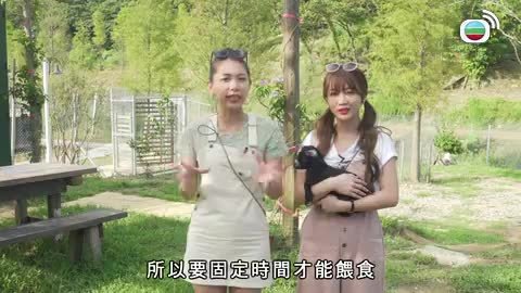第07集
