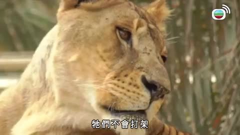 第06集
