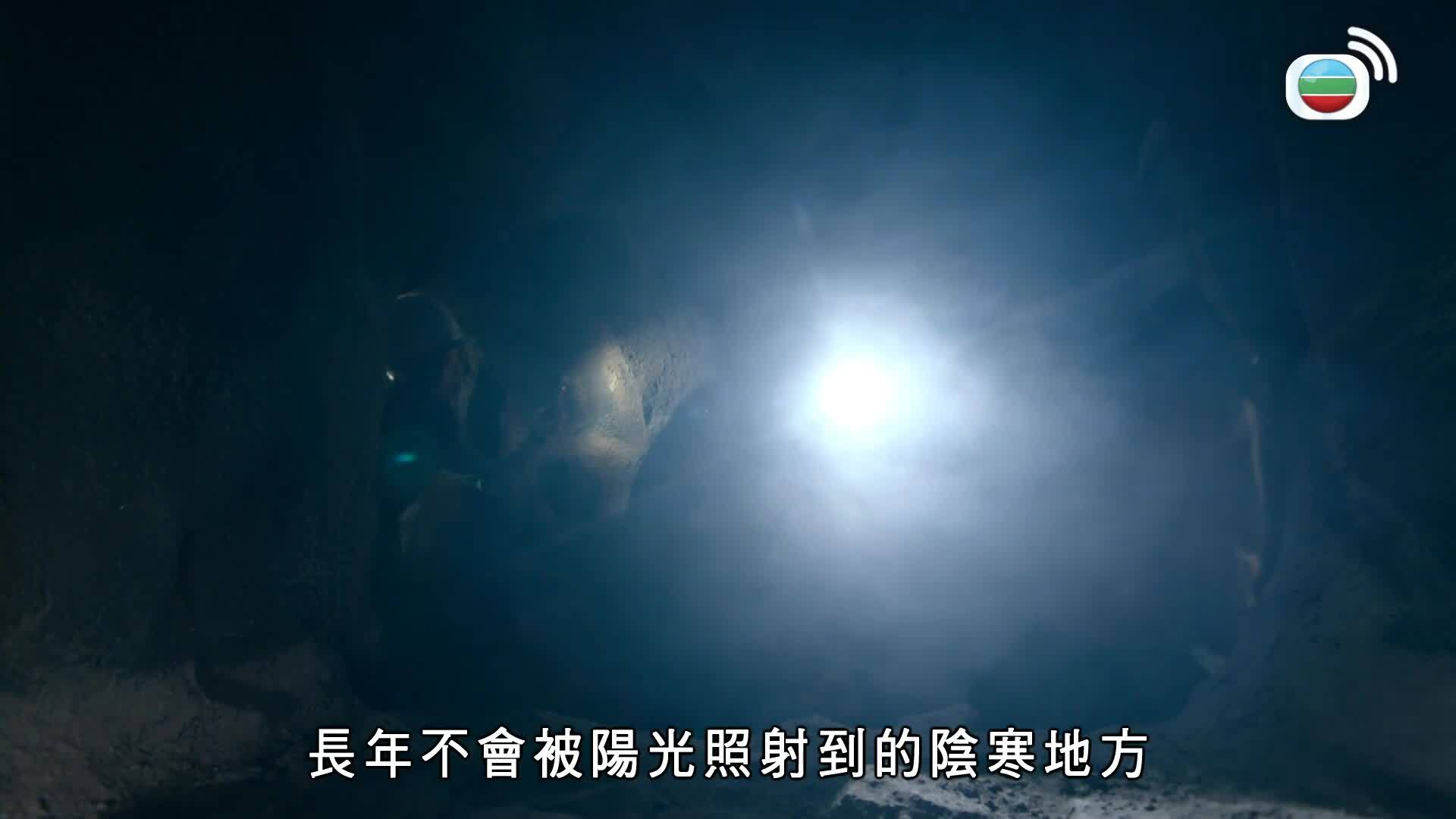 非常檢控觀-The Unusual Prosecutor