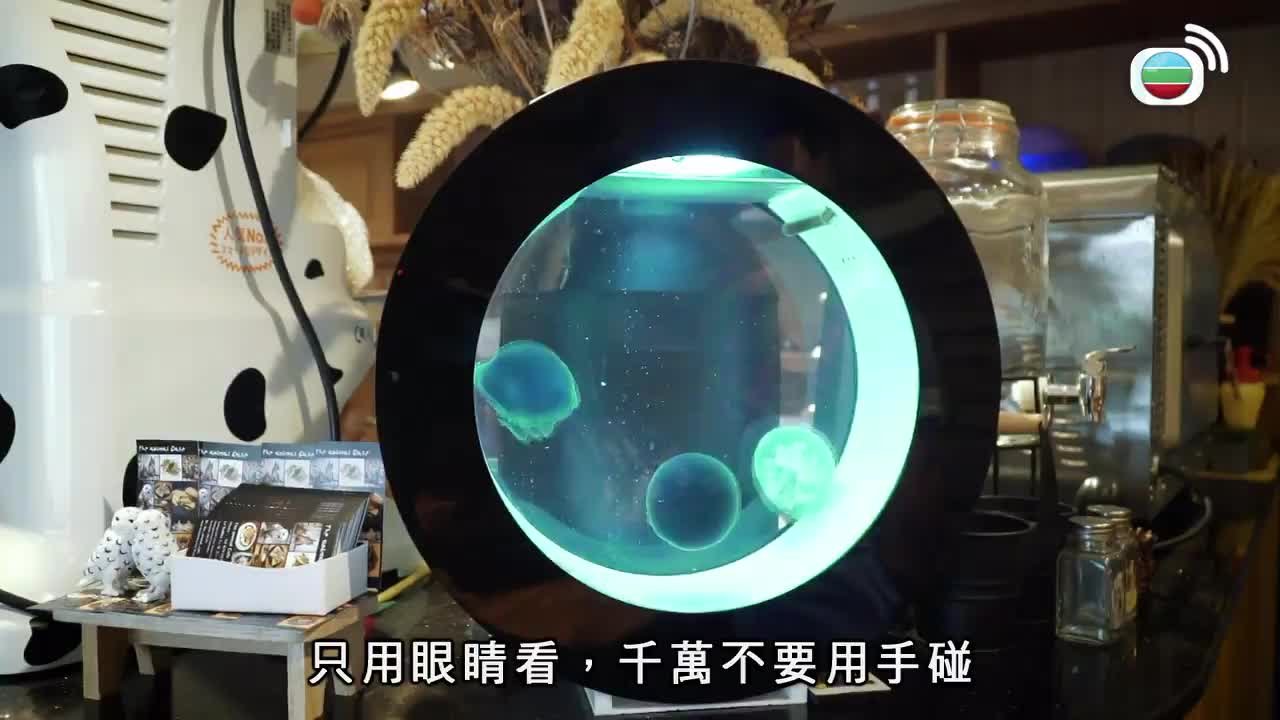 Tập 14