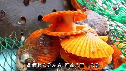 Tập 14