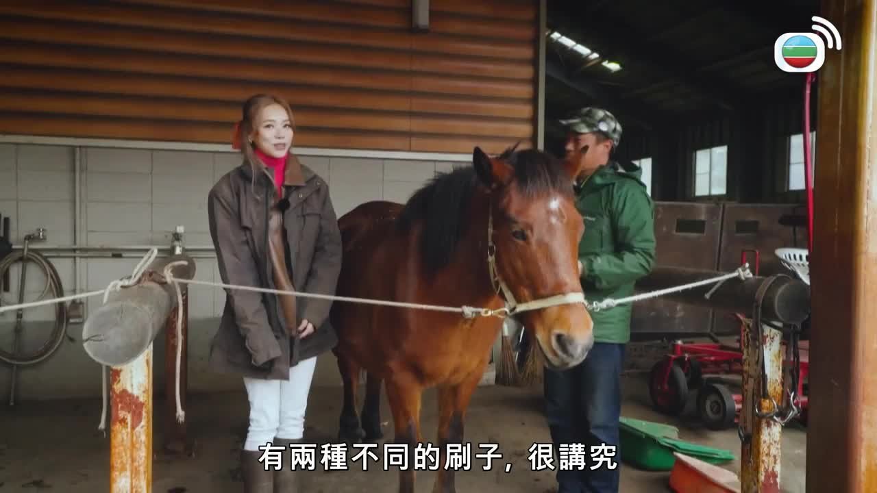 Episode 7