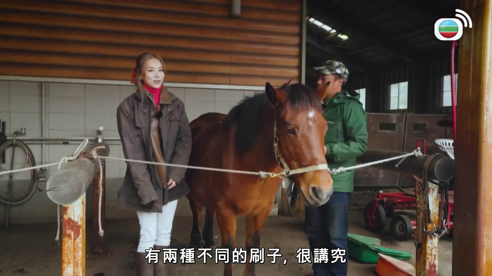 日本最美村落-The Most Beautiful Villages In Japan