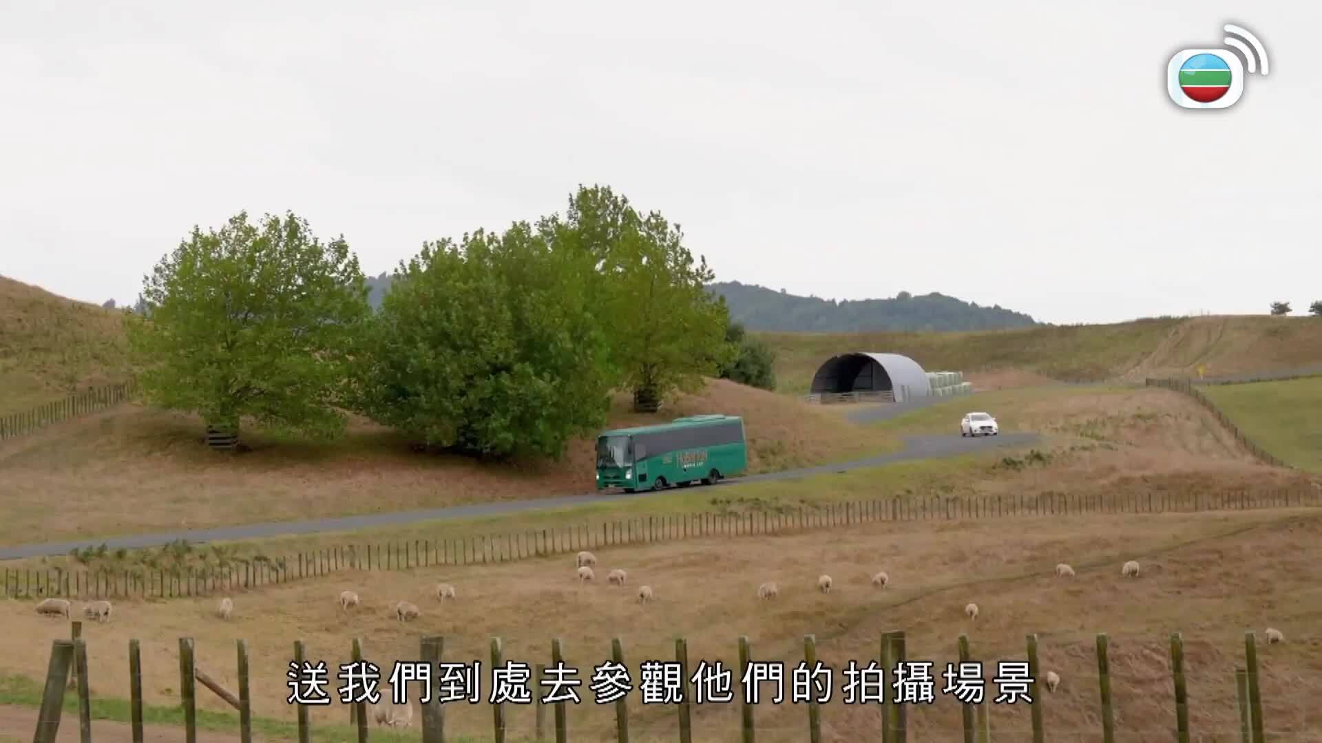 新西蘭潮什麼-Hipster Tour - New Zealand