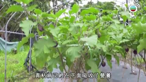 Tập 28
