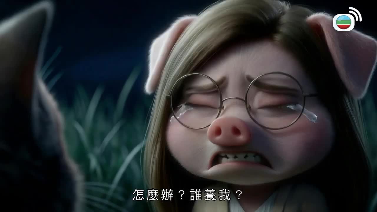 第38集