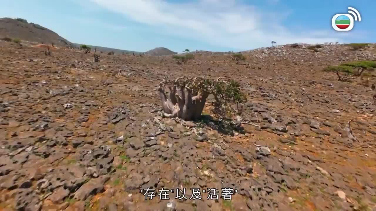 Tập 5