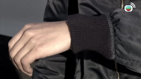 衝上雲霄II-Triumph In The Skies II