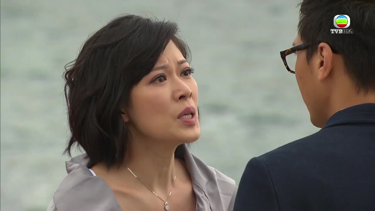 The Hippocratic Crush II-On Call 36小時II