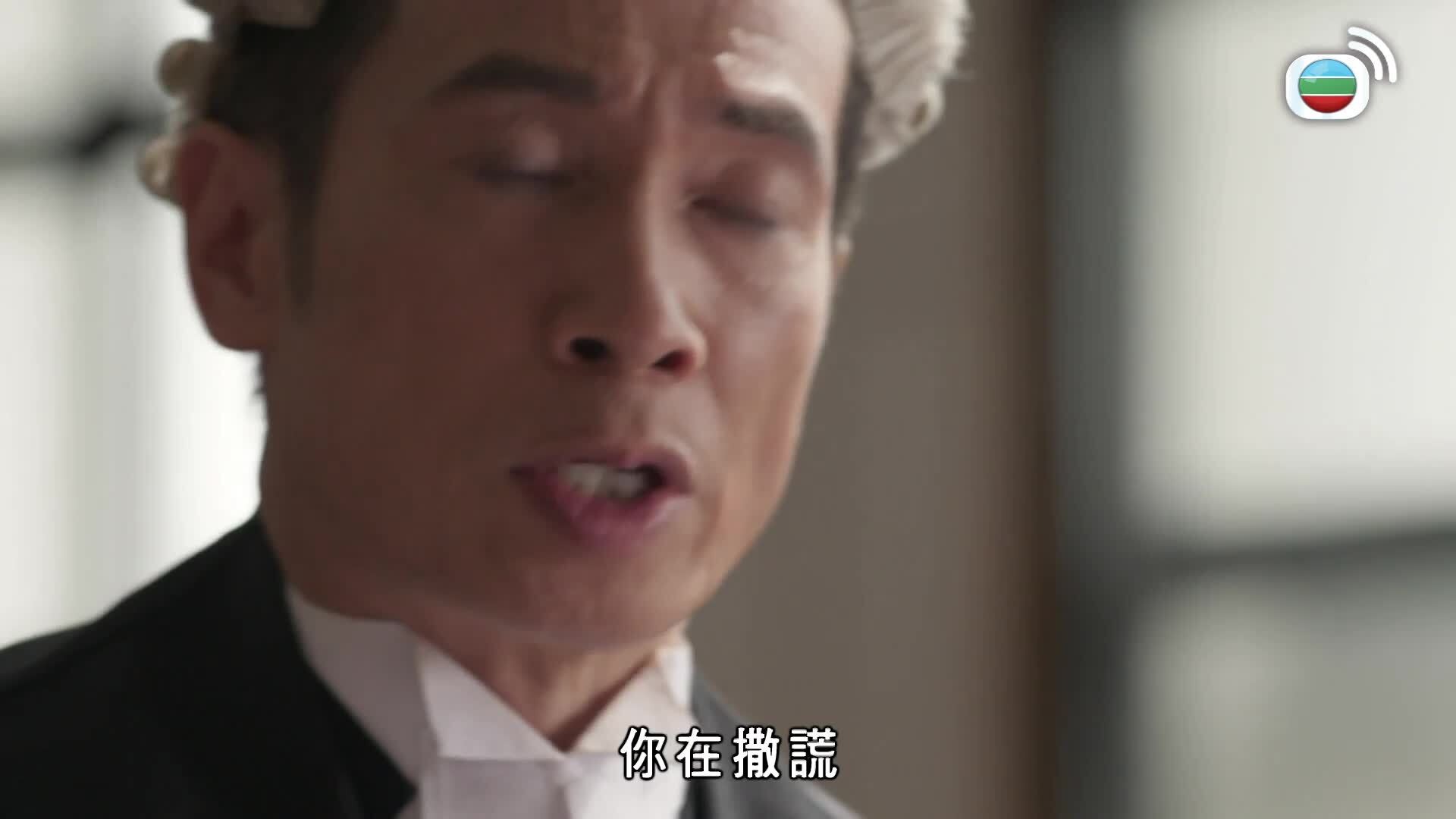 Lực Lượng Chấp Pháp-執法者們