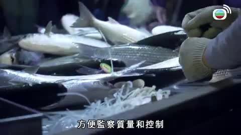 Tập 12