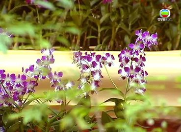 第16集