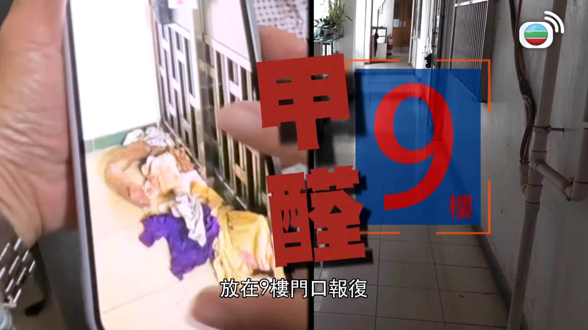 東張西望-Scoop