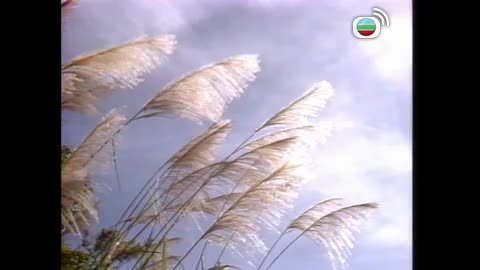 Tập 5