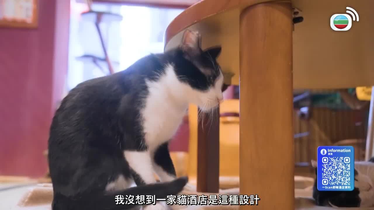 第16集