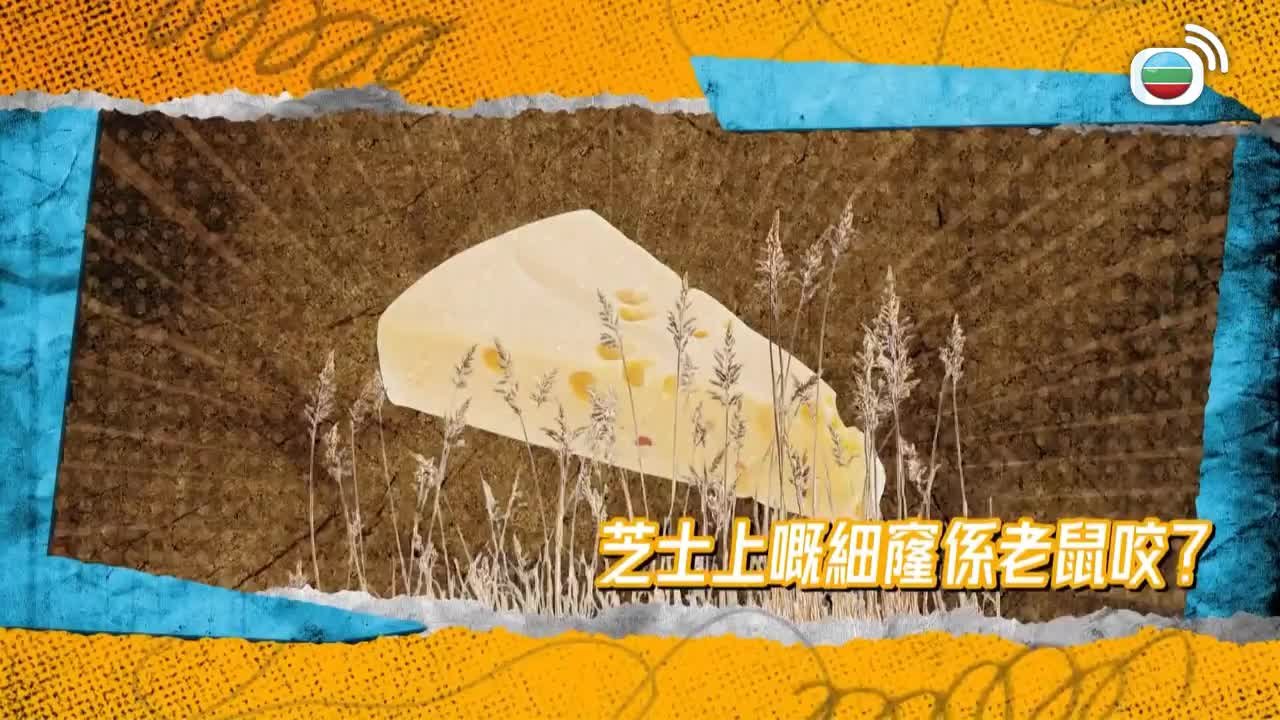 Tập 5