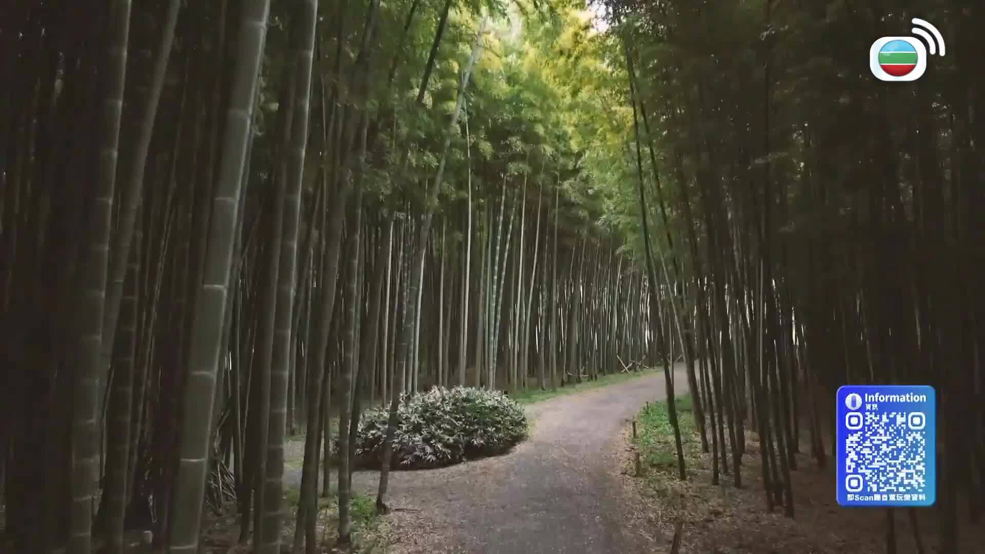 關東．路駅十三-Roadside Station Guide XIII