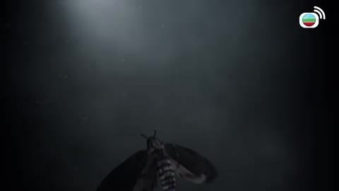 Episode 9