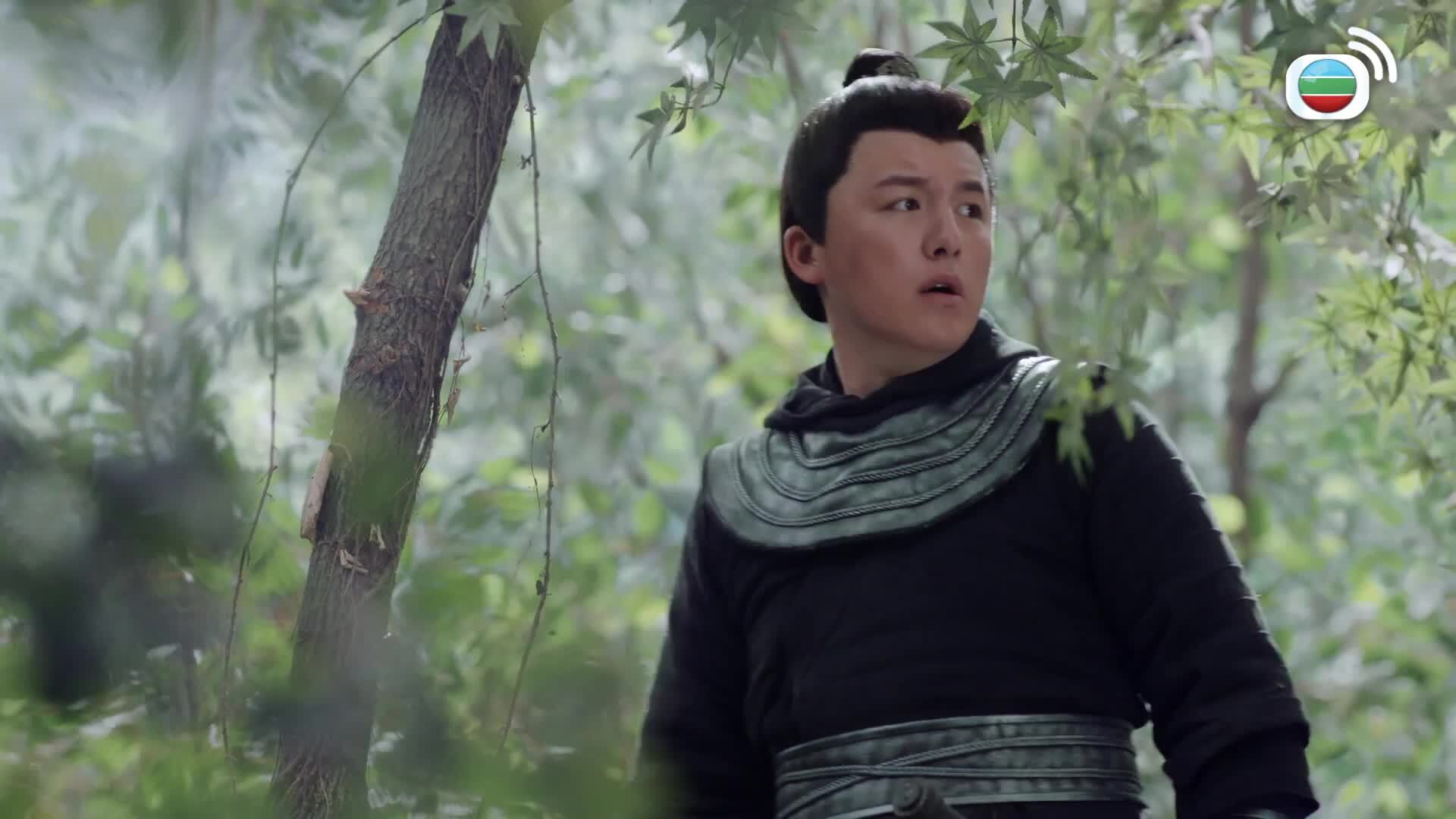 有翡 (國語原音)-Legend Of Fei