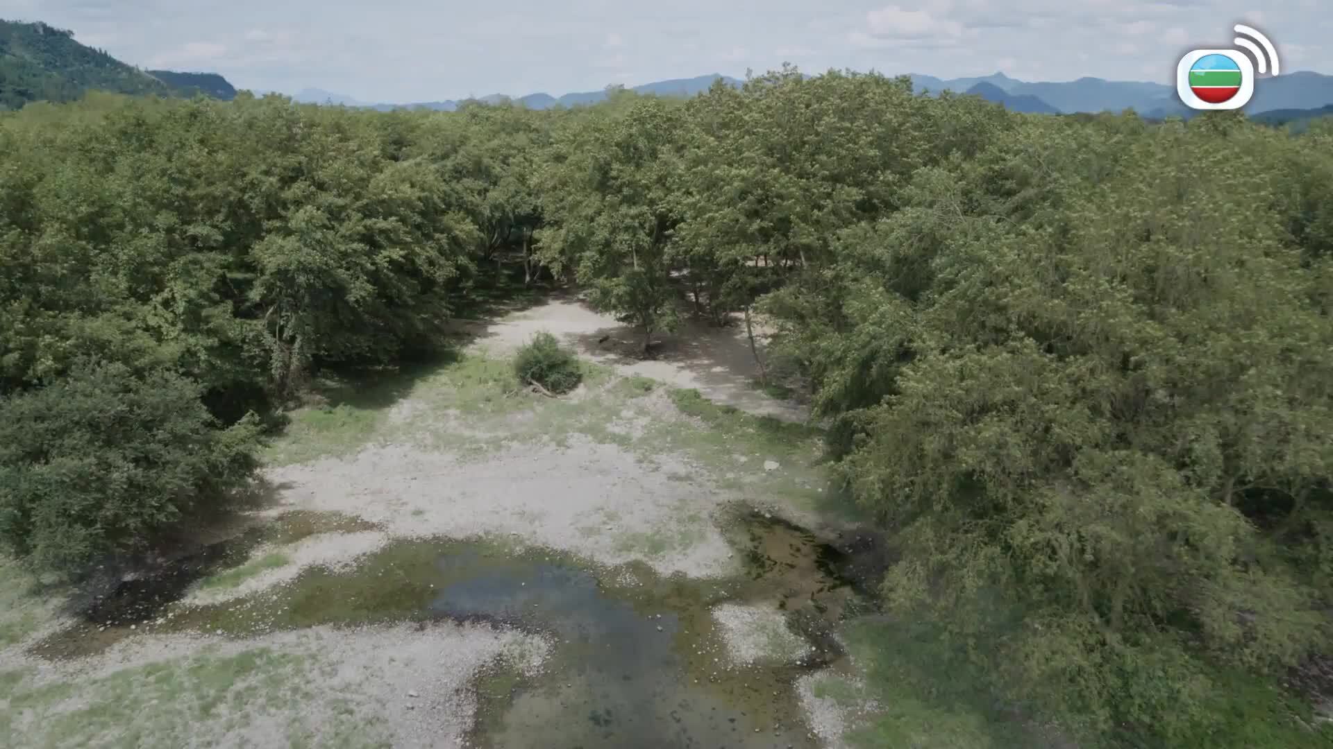 慶餘年2 (國語原音)-Joy Of Life 2