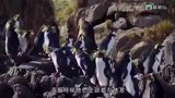 第04集