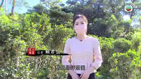 Tập 177