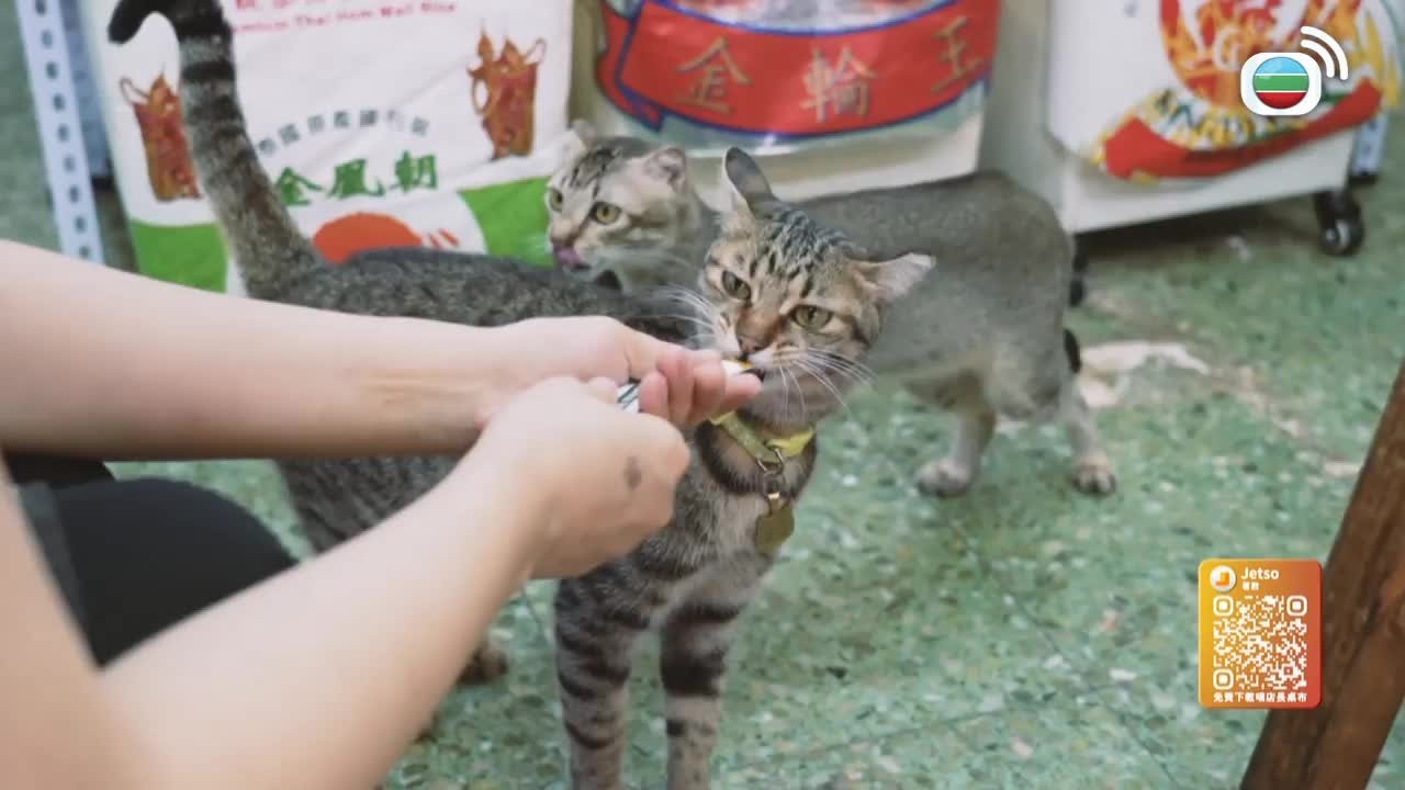 第05集