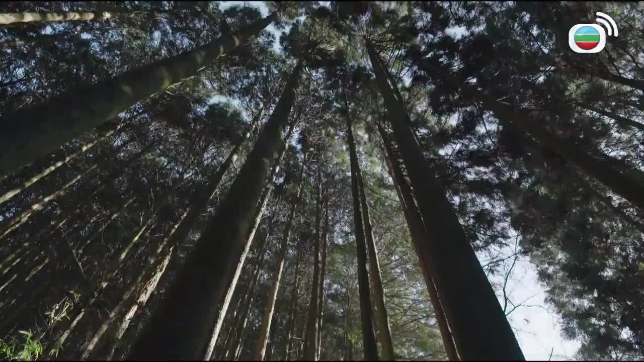 第24集