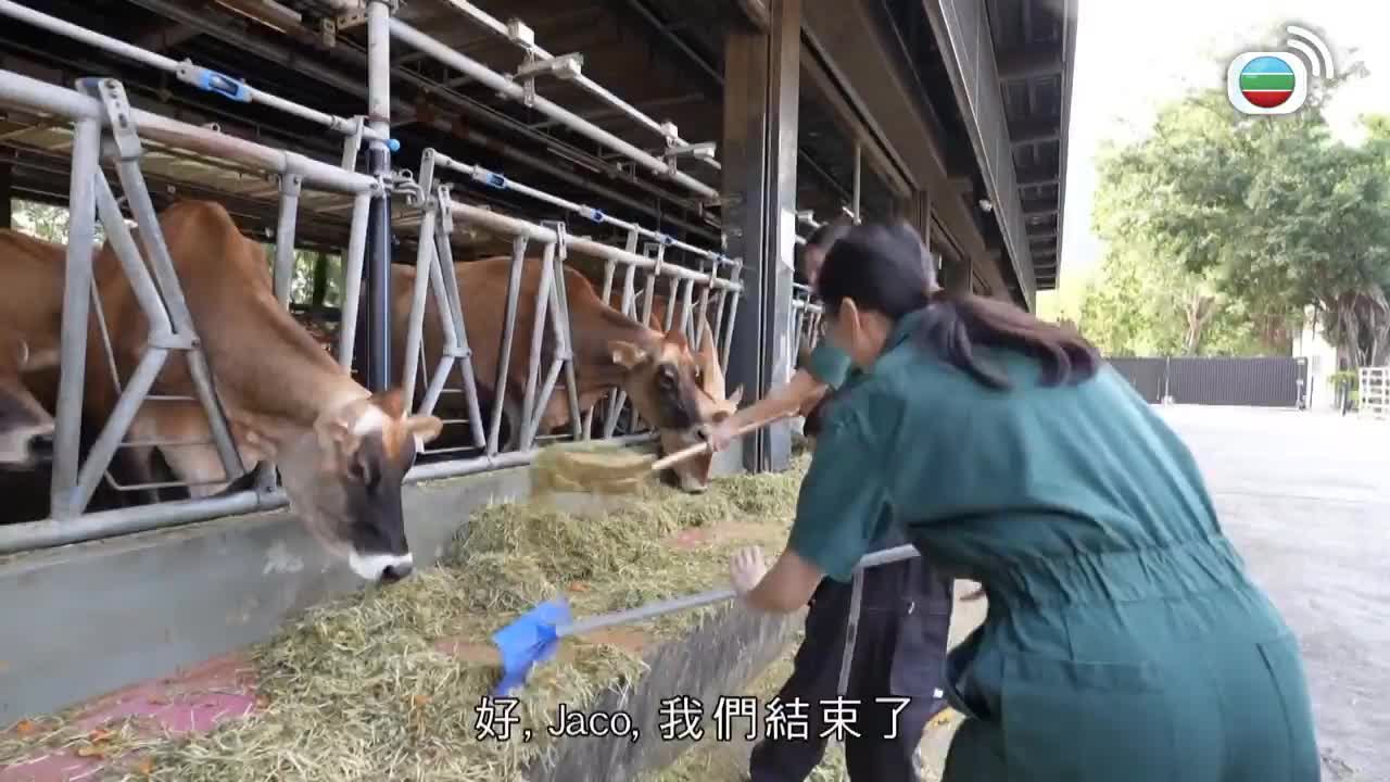 第02集