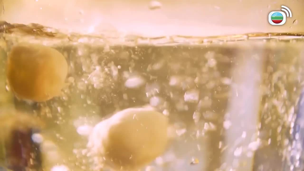 第04集