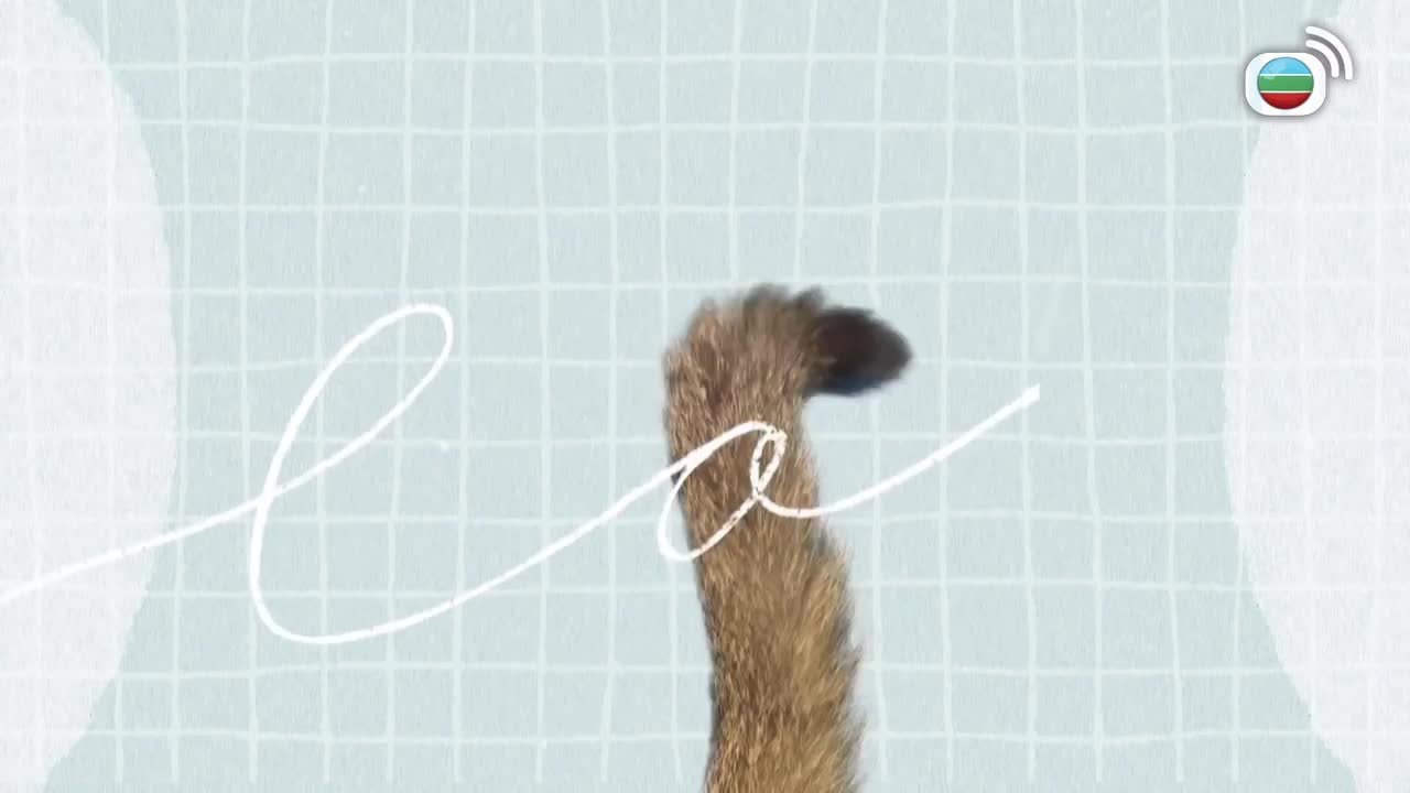 第04集
