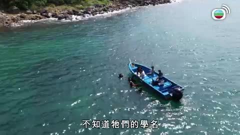 Tập 12