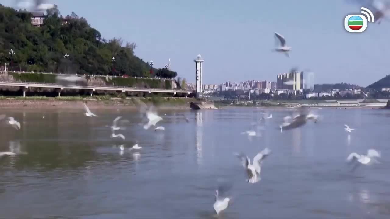 Tập 1