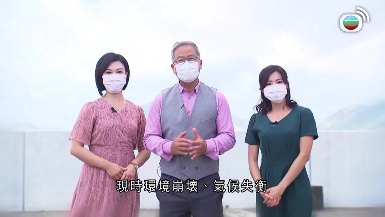 武．測天-MObservatory